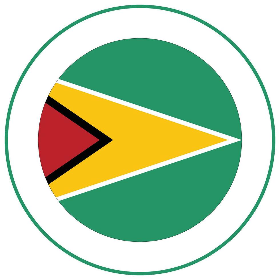 Guyana flag. Flag of Guyana design shape. vector
