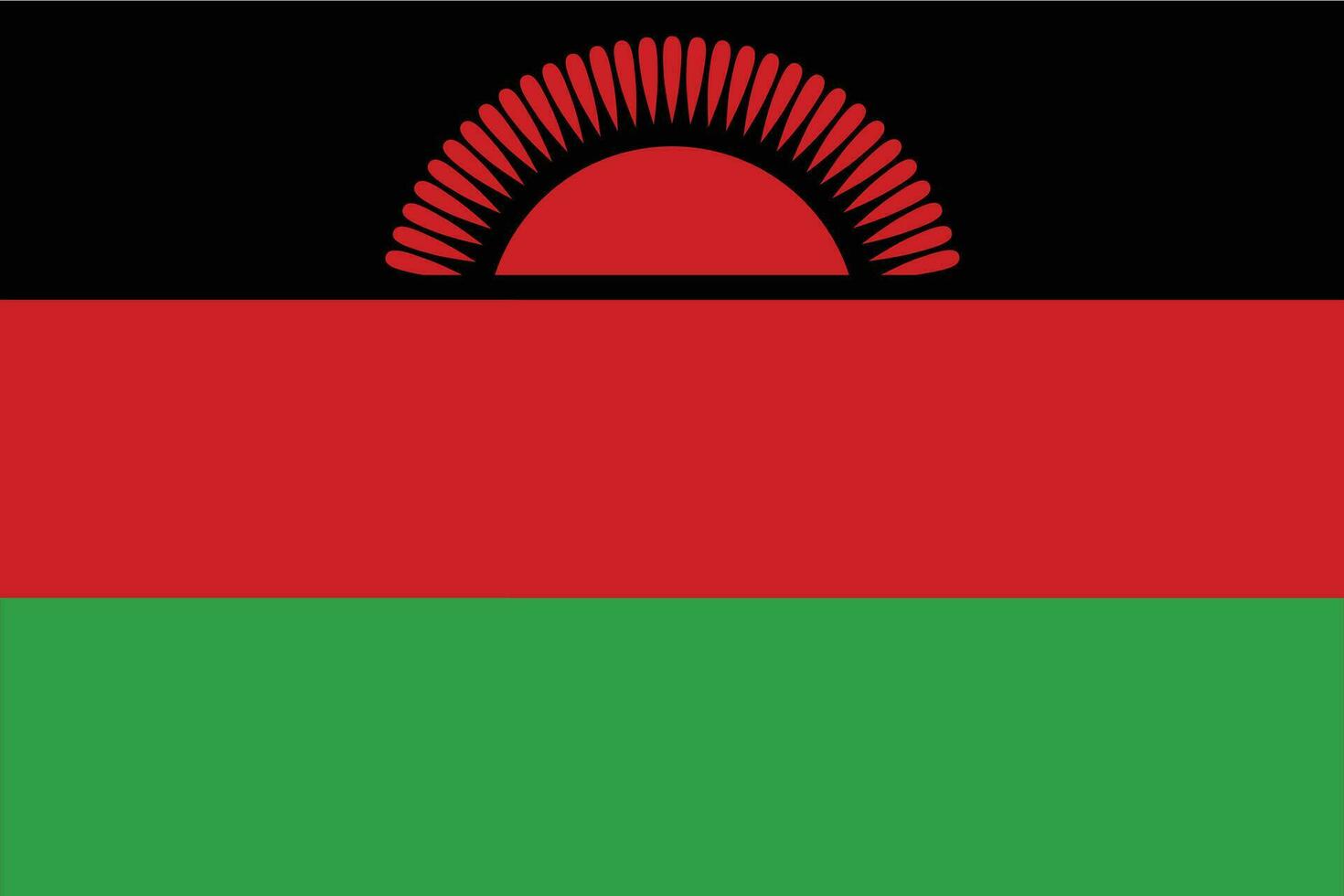 Flag of Malawi design shape. Malawi flag shape. vector