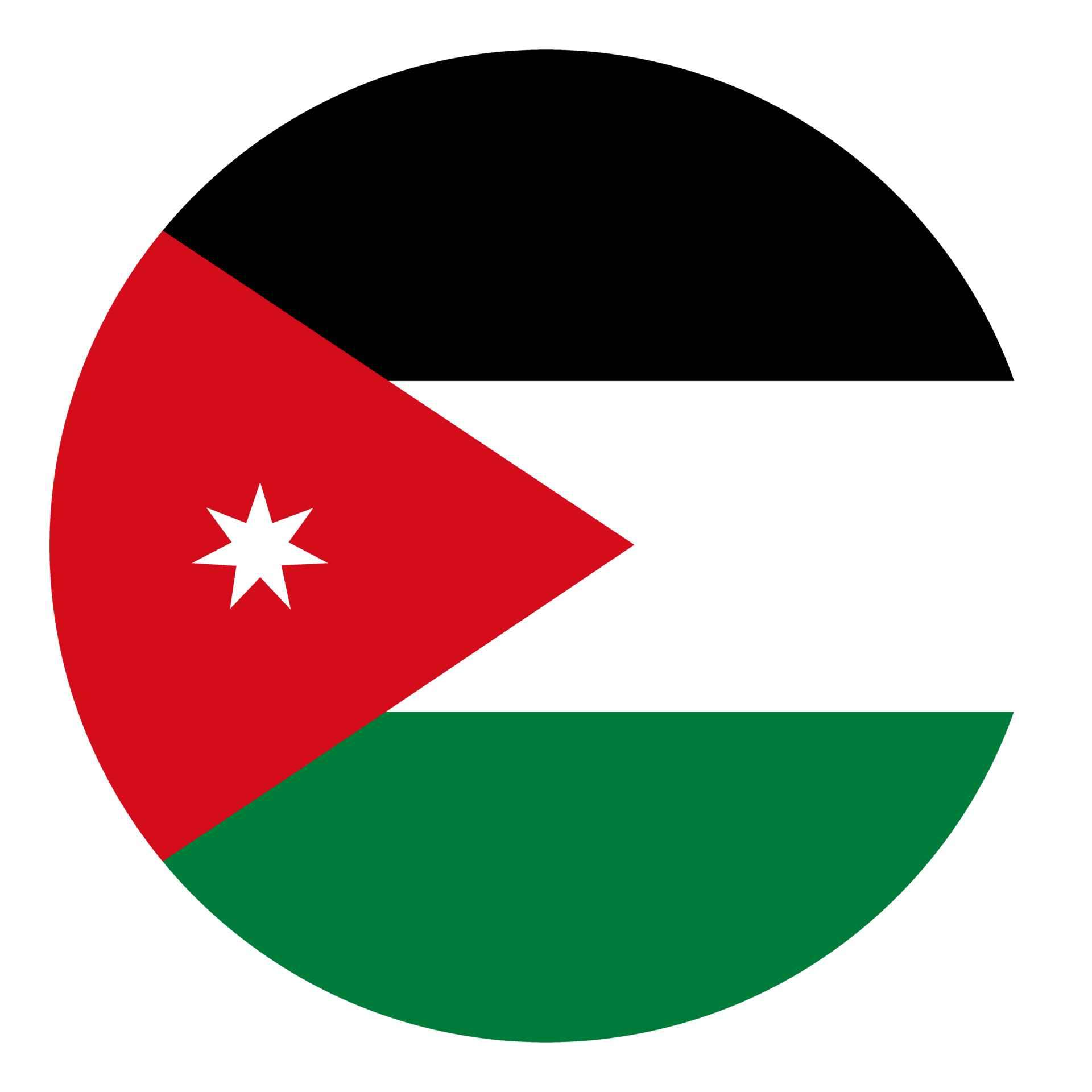 Jordan flag. Flag of Jordan in circle shape 25862831 PNG