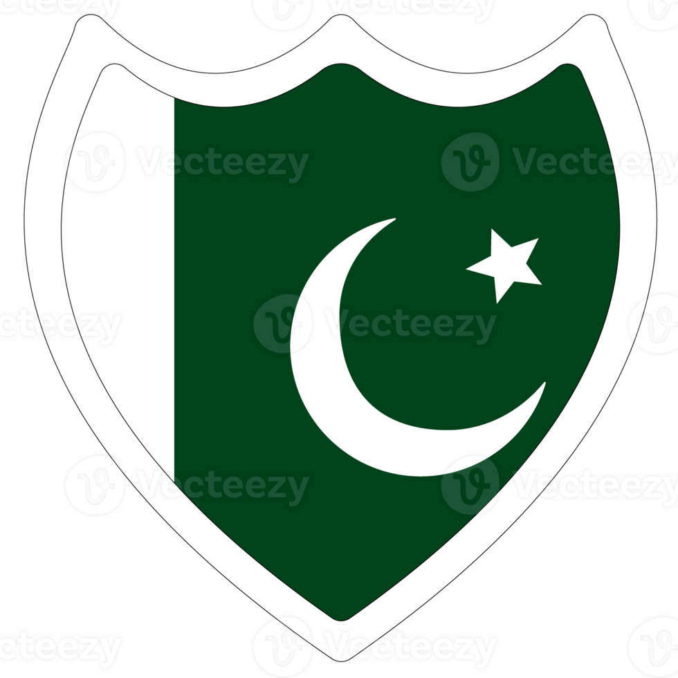Flag of Pakistan in shape. Pakistan flag in shape. png