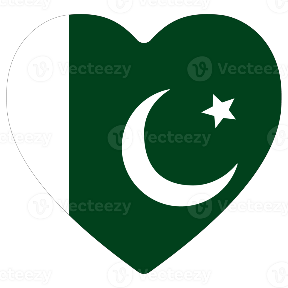 Flag of Pakistan in shape. Pakistan flag in shape. png