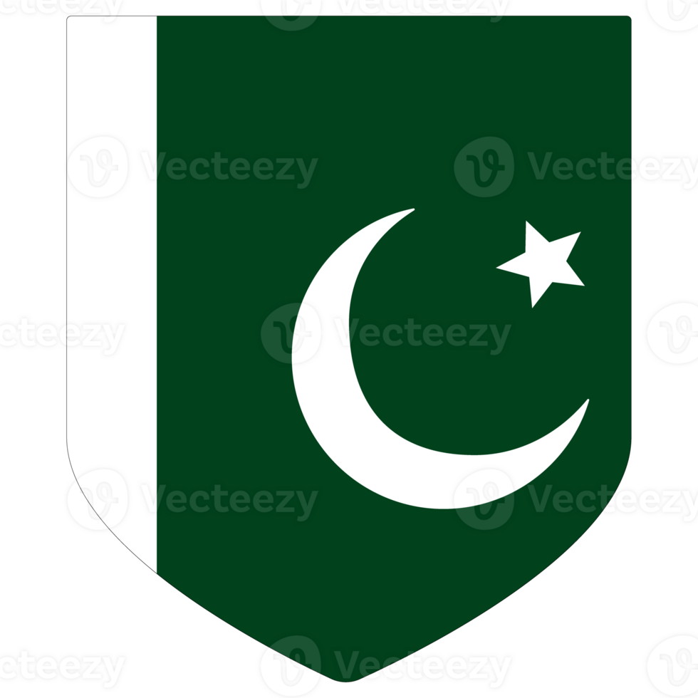 Flag of Pakistan in shape. Pakistan flag in shape. png