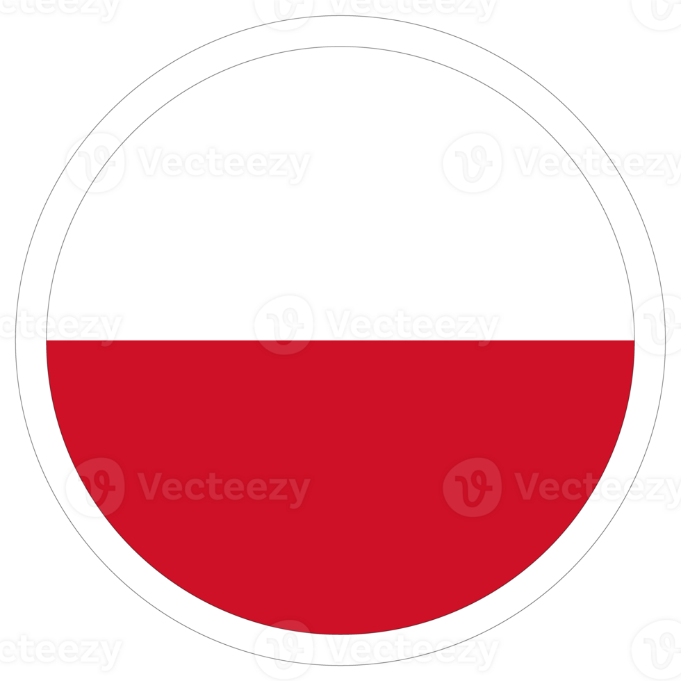 Flag of Poland in shape. Poland flag. png