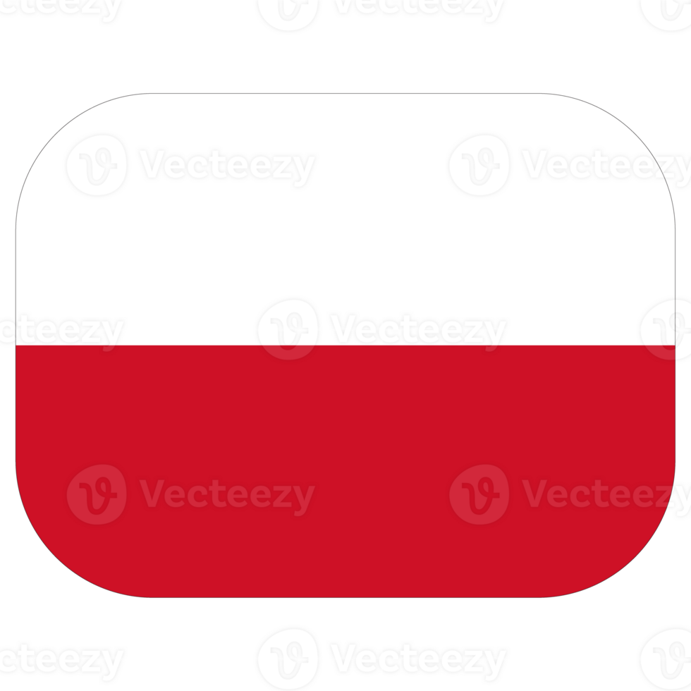 bandiera di Polonia nel forma. Polonia bandiera. png