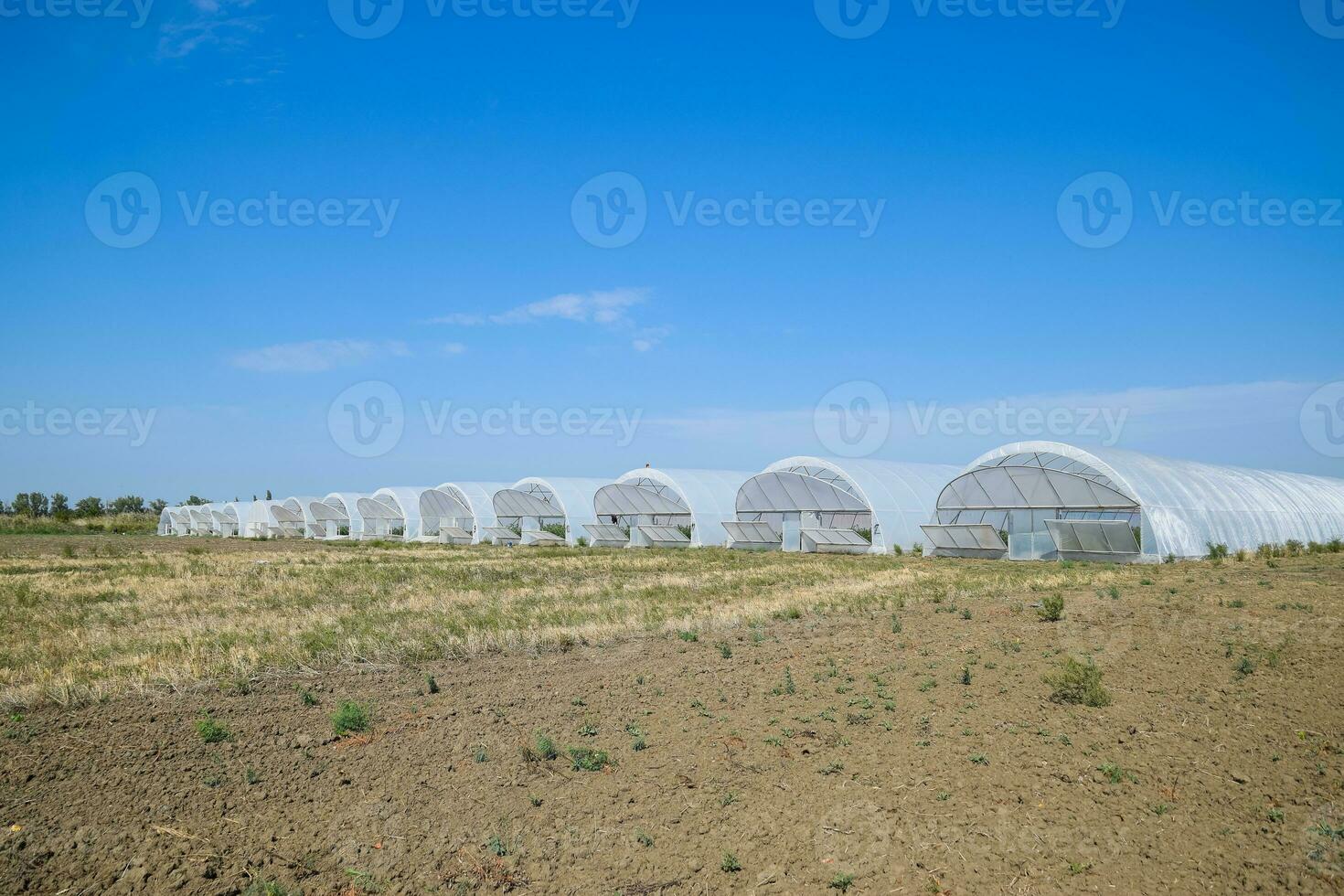 A group of greenhouses for growing tomatoes and cucumbers. photo