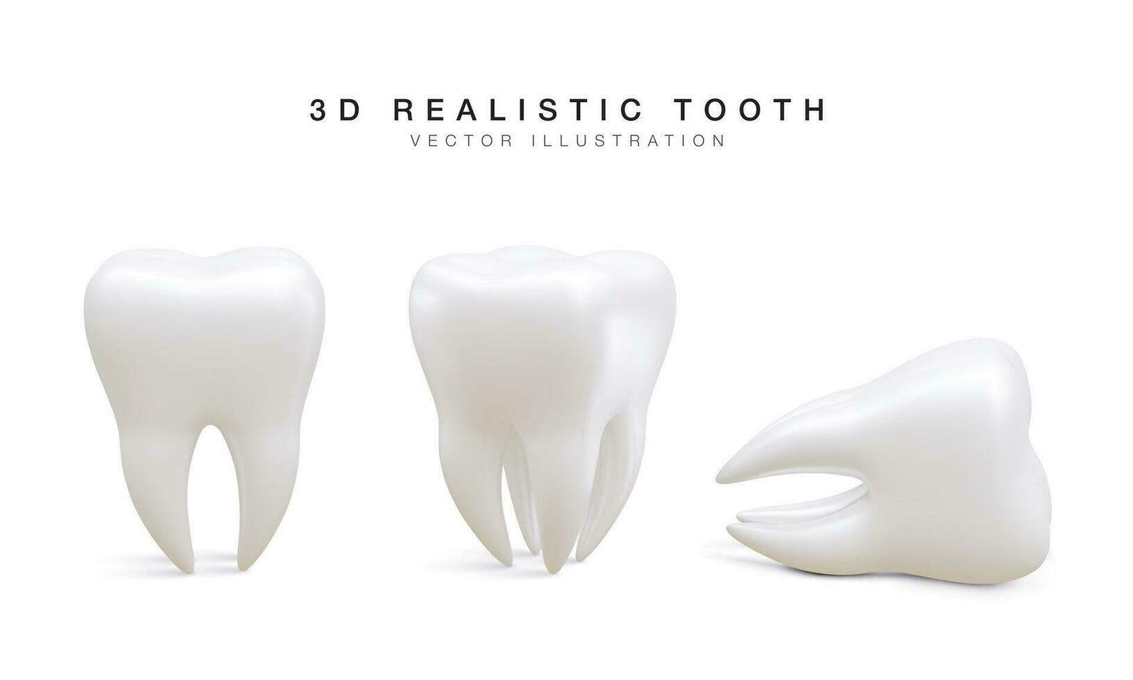 Set of white tooth in different position isolated on white background. Concept of dental examination of teeth, dental health and hygiene. Vector illustration