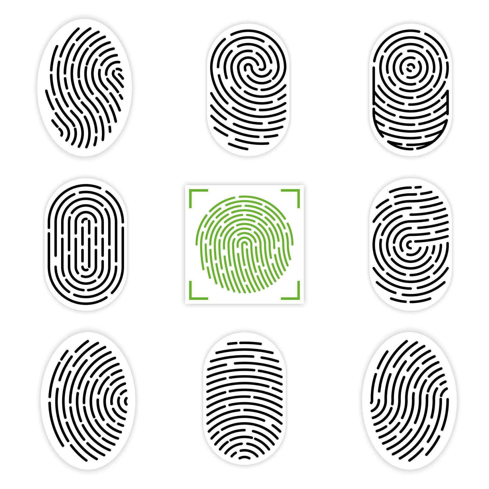 Set of vector illustrations of security fingerprint authentication