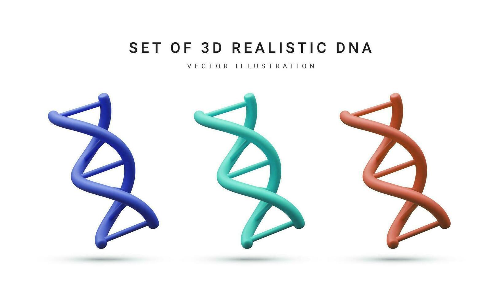 Set of 3d realistic medical spiral genetic dna for molecular chemistry, physics science, biochemistry in cartoon style isolated in white background. Vector illustration