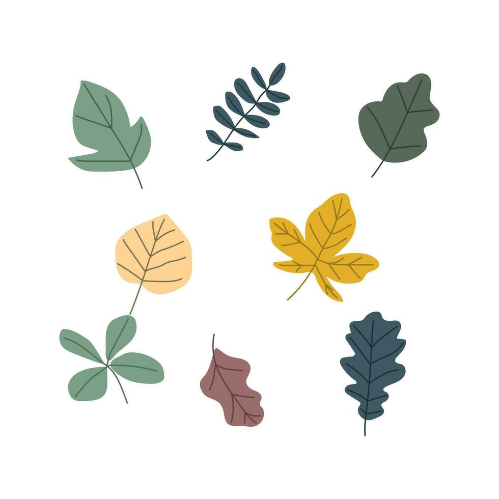 Autumn leaf isolated on white background simple cartoon flat style vector illustration