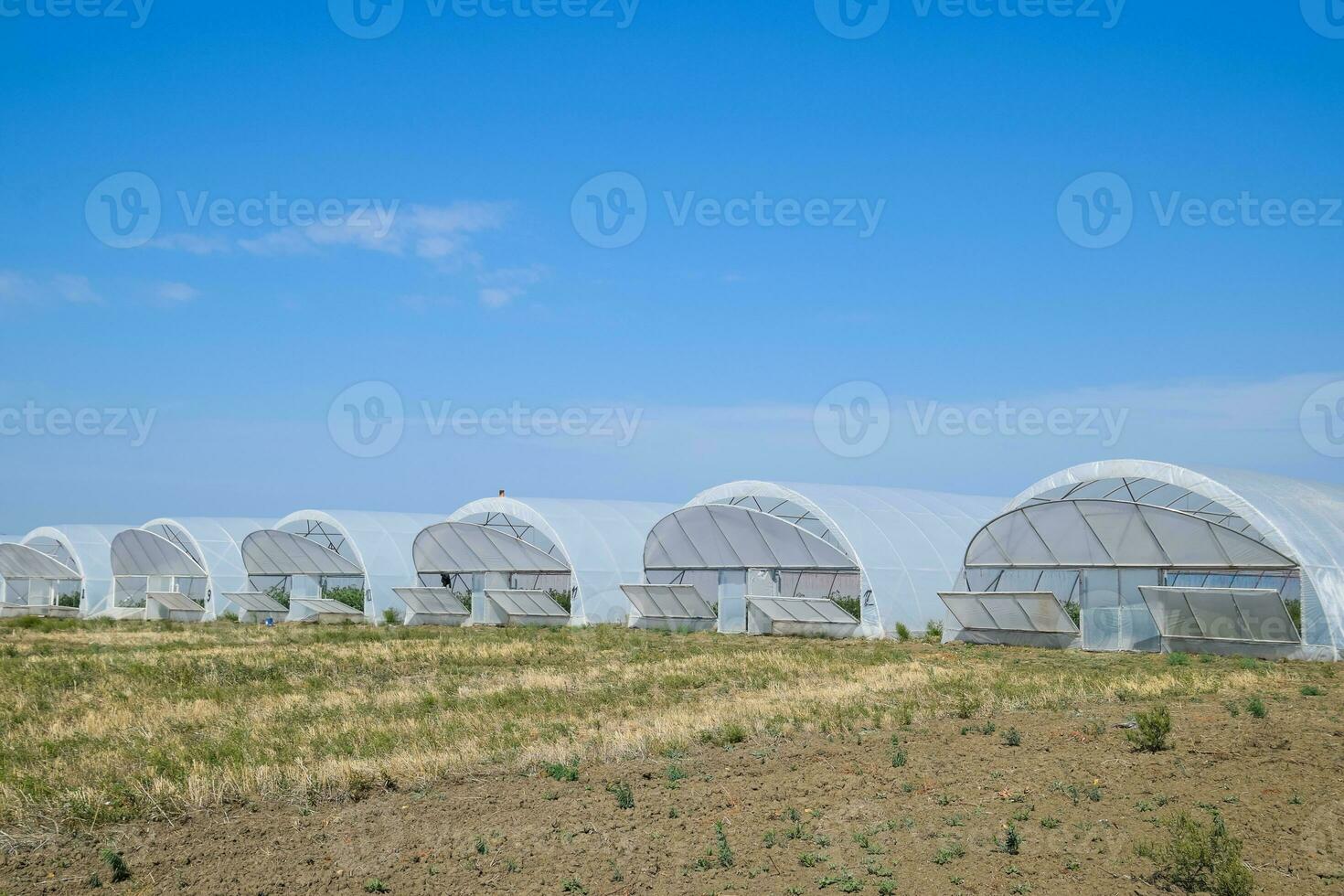 A group of greenhouses for growing tomatoes and cucumbers. photo