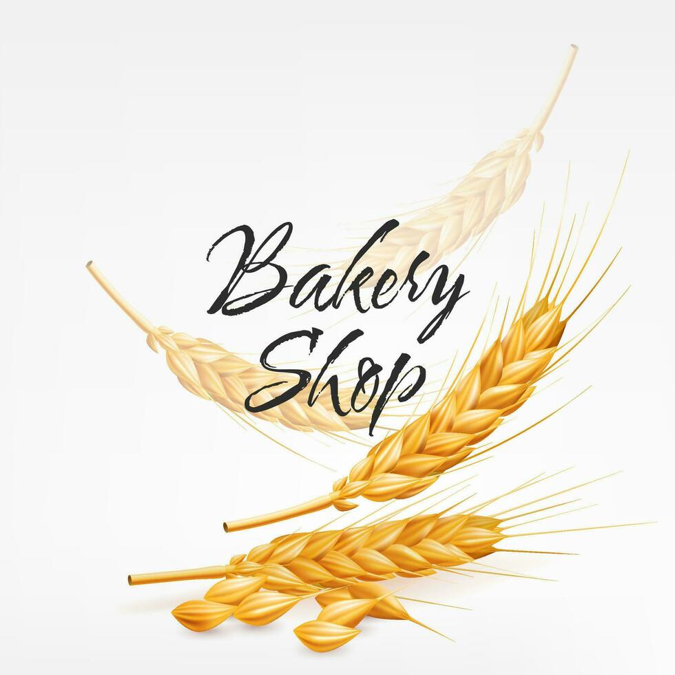 Realistic vector illustration of falling golden wheat spikes, rye, and dry wheat for bakery shops. Perfect for agriculture and autumn themed designs. Represents harvest, natural ingredients, gluten