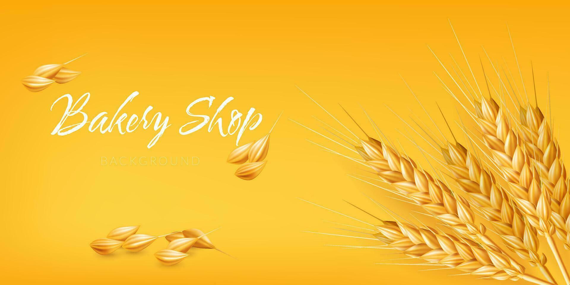 3D vector image of a bunch of ripe wheat spikes, rye, and dry straw perfect for any agricultural or farming design. Wheat spike with many visible seeds and grains. For agriculture, farms, baking