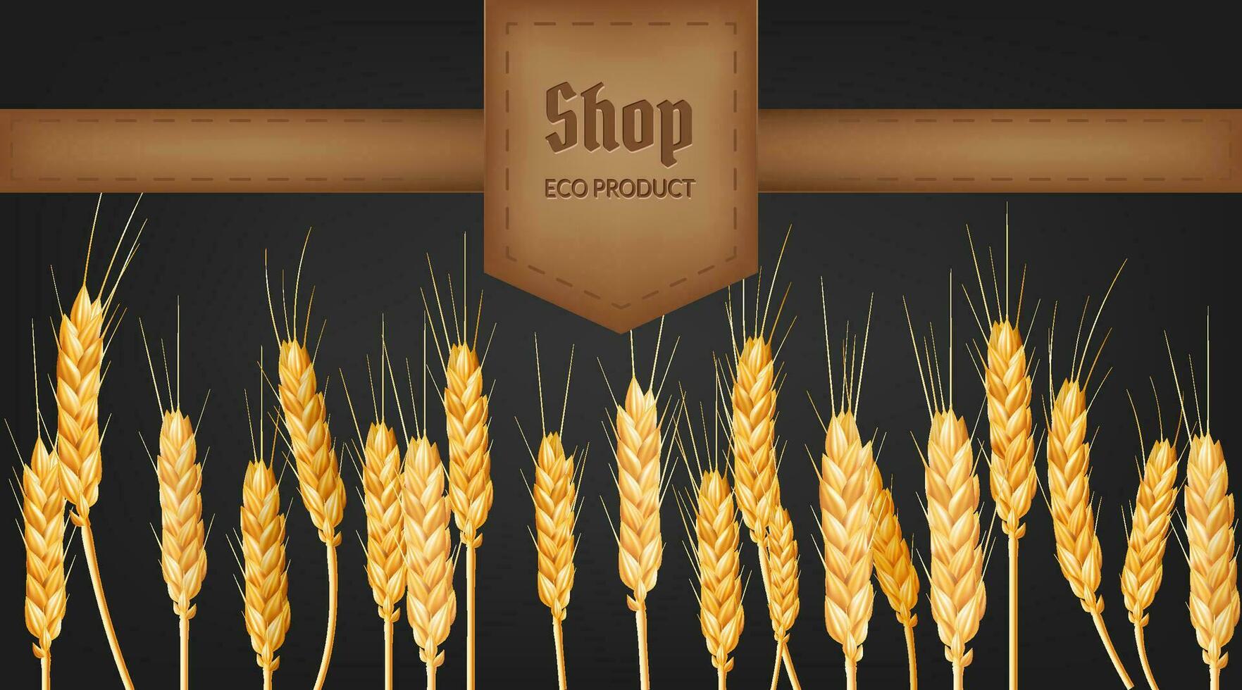 Realistic vector illustration of golden wheat spikes and ear, perfect for eco friendly and organic bakery designs. Represents fresh, organic, and high quality food. Ideal for banners, labels
