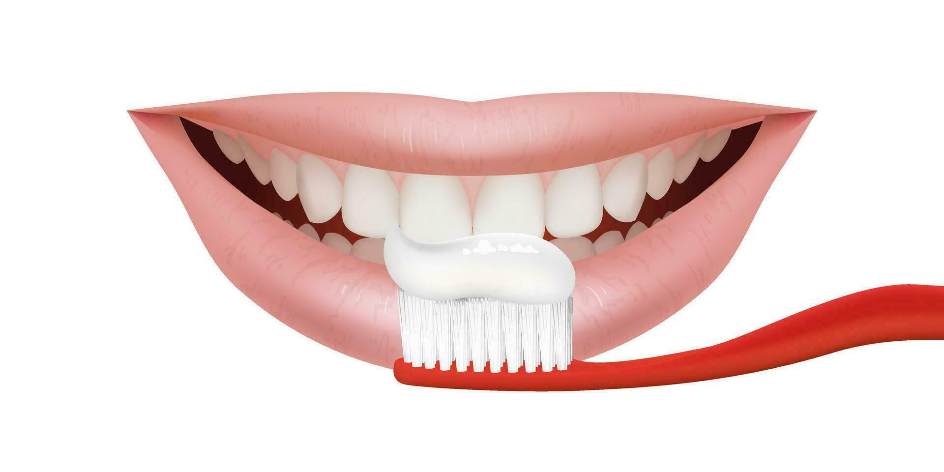 3D illustration of a realistic smile with healthy teeth. Realistic teeth being brushed using a red toothbrush. Oral health and hygiene For dental equipment or whitening treatment. Toothpaste promotion vector