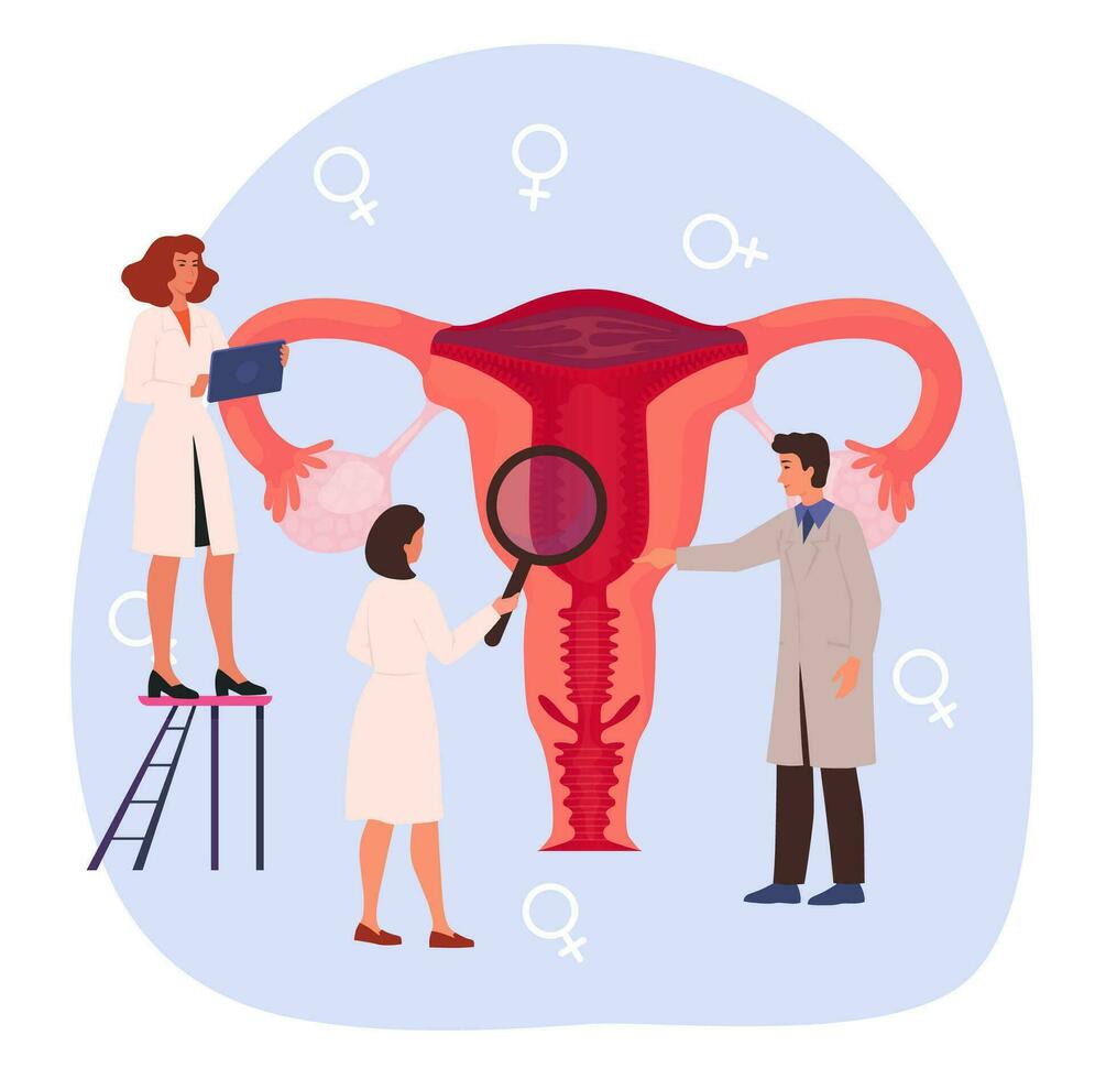 Female reproductive system examination concept. Uterus, womb treatment. Gynecologists and therapist appointment.  Infertility, inflammation diagnosis. vector