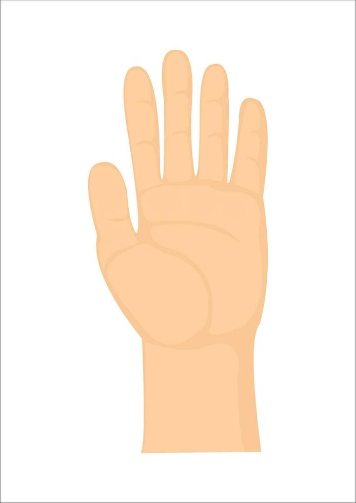 Hand with five fingers in cartoon style on white for design, stock vector illustration