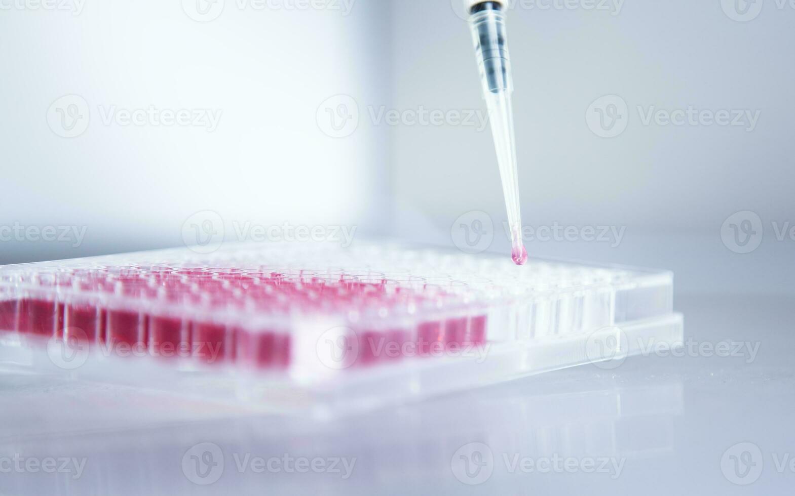 cell culture at the laboratory of cell culture, medical and medicine photo