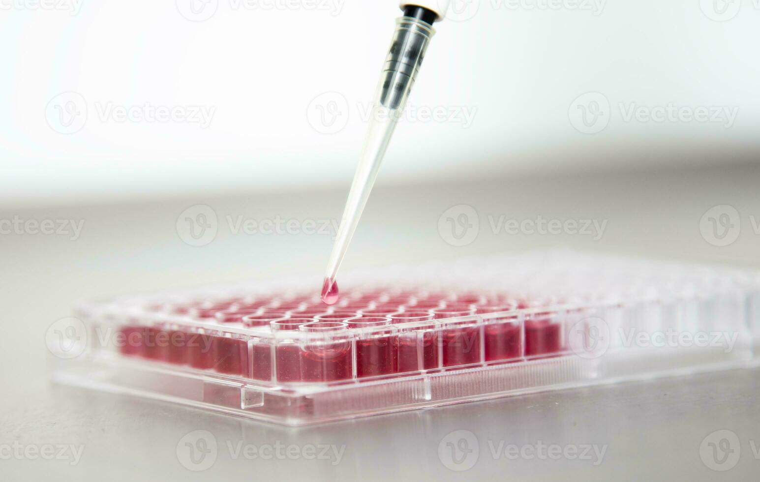 cell culture at the laboratory of cell culture, medical and medicine photo