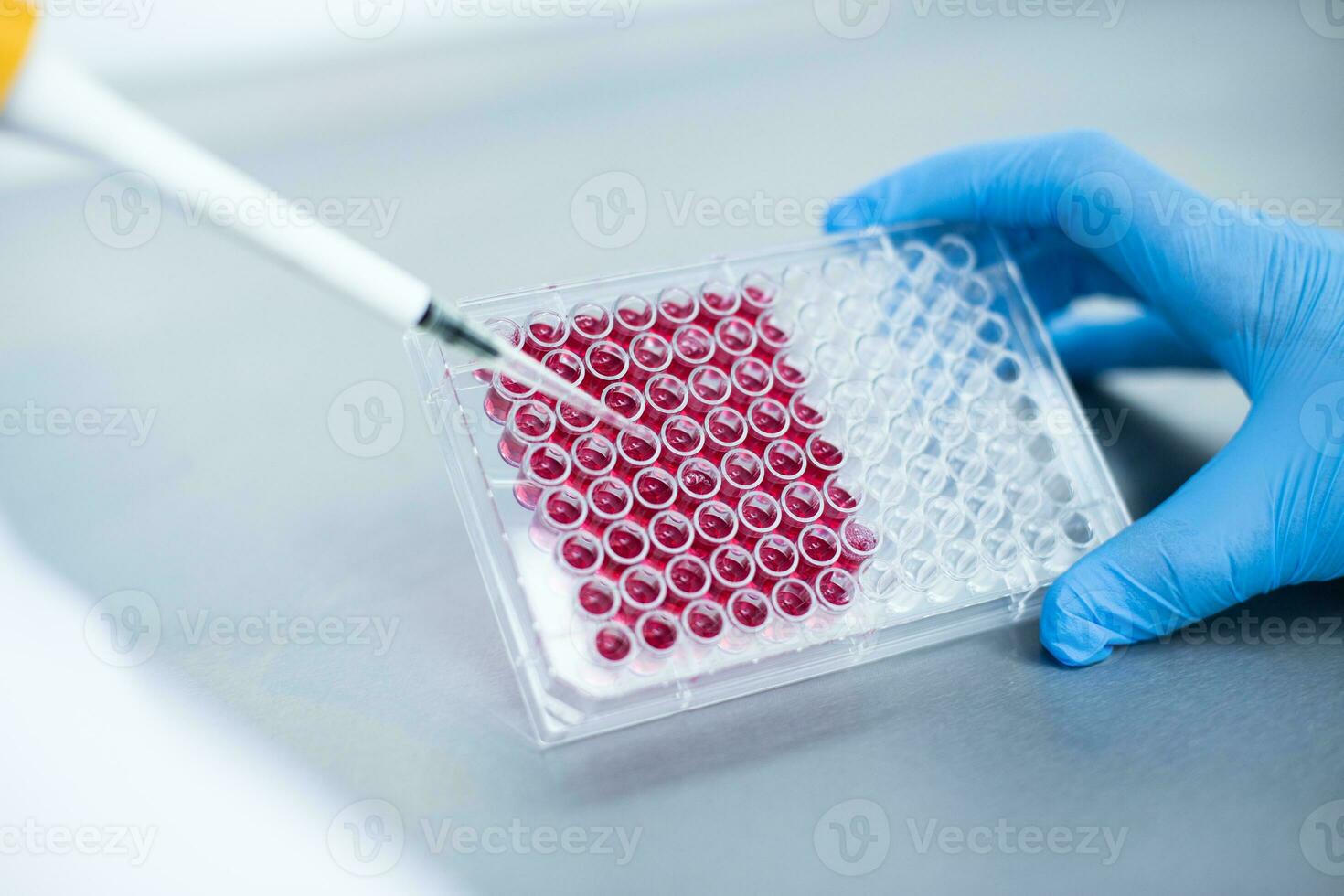 cell culture at the laboratory of cell culture, medical and medicine photo