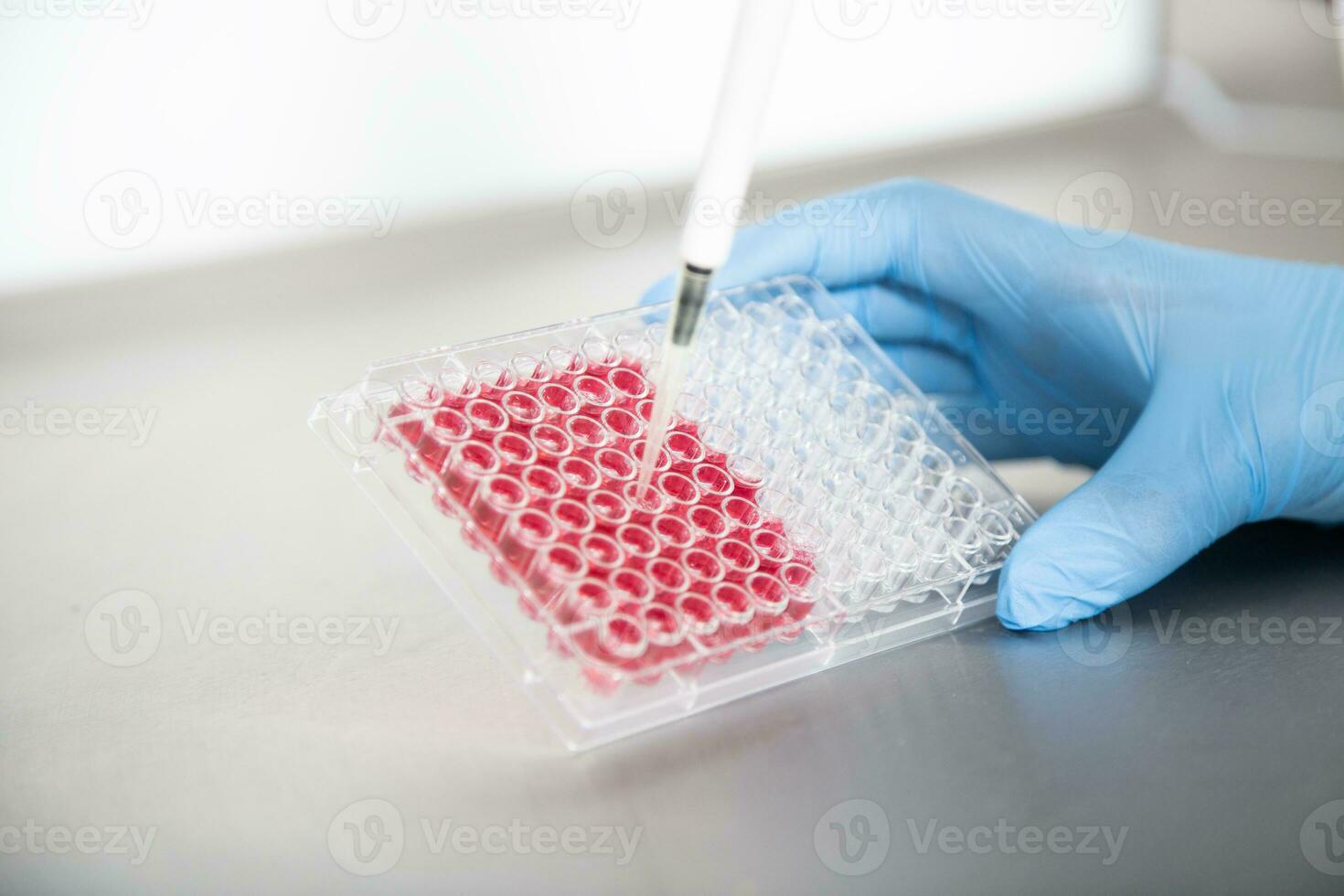 cell culture at the laboratory of cell culture, medical and medicine photo