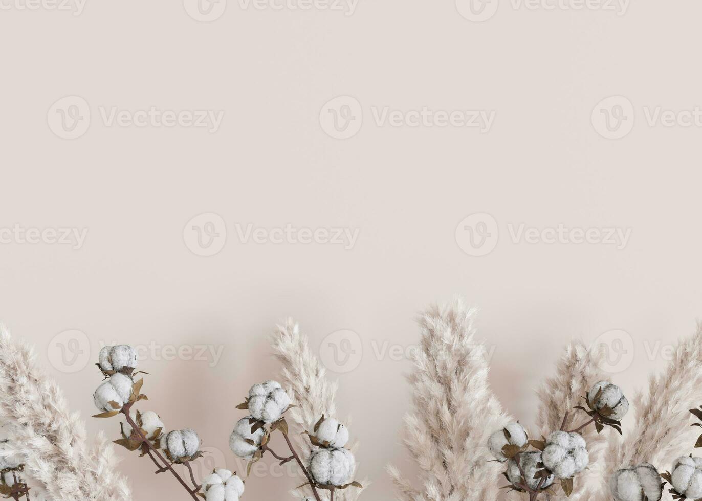 Beige background with dried plants and empty space for text. Bottom border with copy space. Realistic pampas grass and cotton plants. 3D rendering. photo