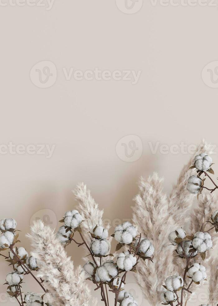 Beige vertical background with dried plants and empty space for text. Bottom border with copy space. Realistic pampas grass and cotton plants. 3D rendering. photo