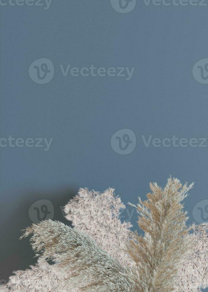 Vertical background with dried plants and empty space for text. Bottom border with copy space. Realistic pampas grass. 3D rendering. photo