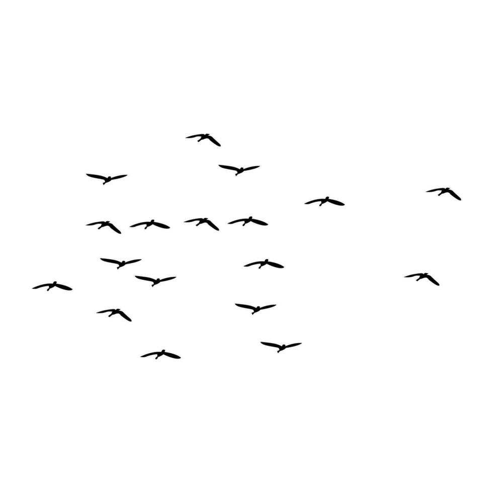 Flock of flying birds vector