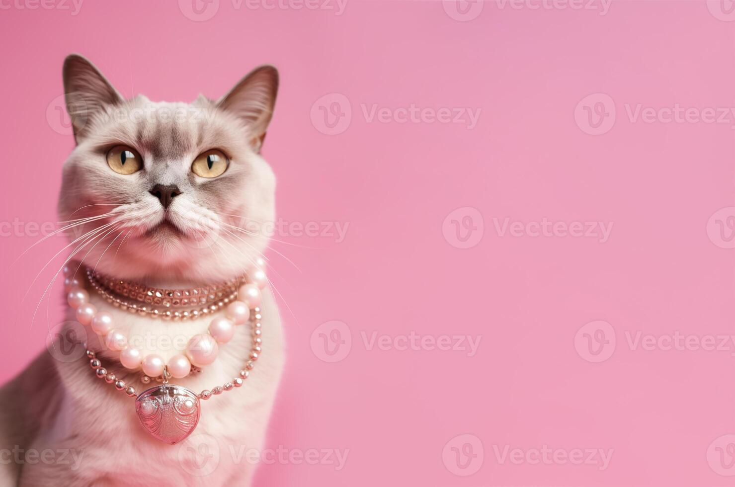 Cool cat with neckless on pink background. Fashionable appearance, be trendy. Copy space for text. Style and fashion. Stylish pet. Jewelry, accessories. . photo