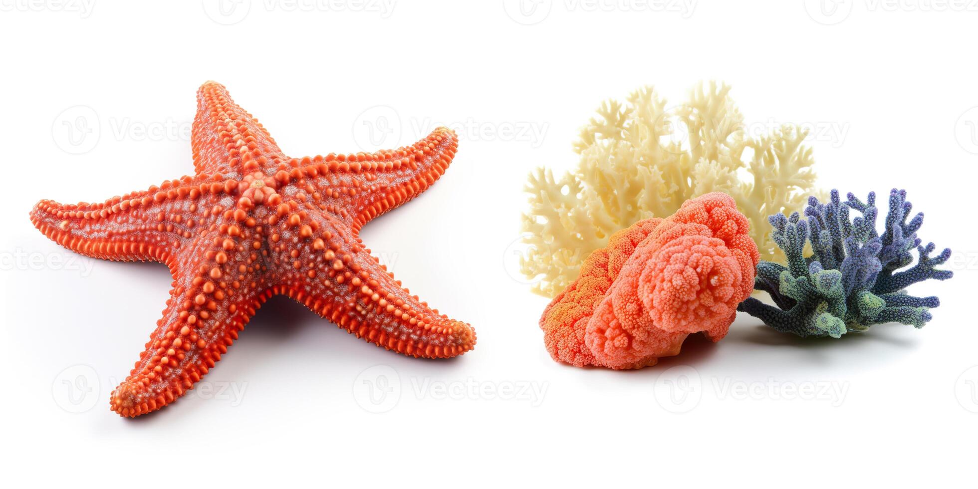 conjunto con mar criaturas, aislado en blanco antecedentes. colección de Oceano habitantes. marina vida. submarino, submarino fauna silvestre. mar estrella y corales generativo ai. foto