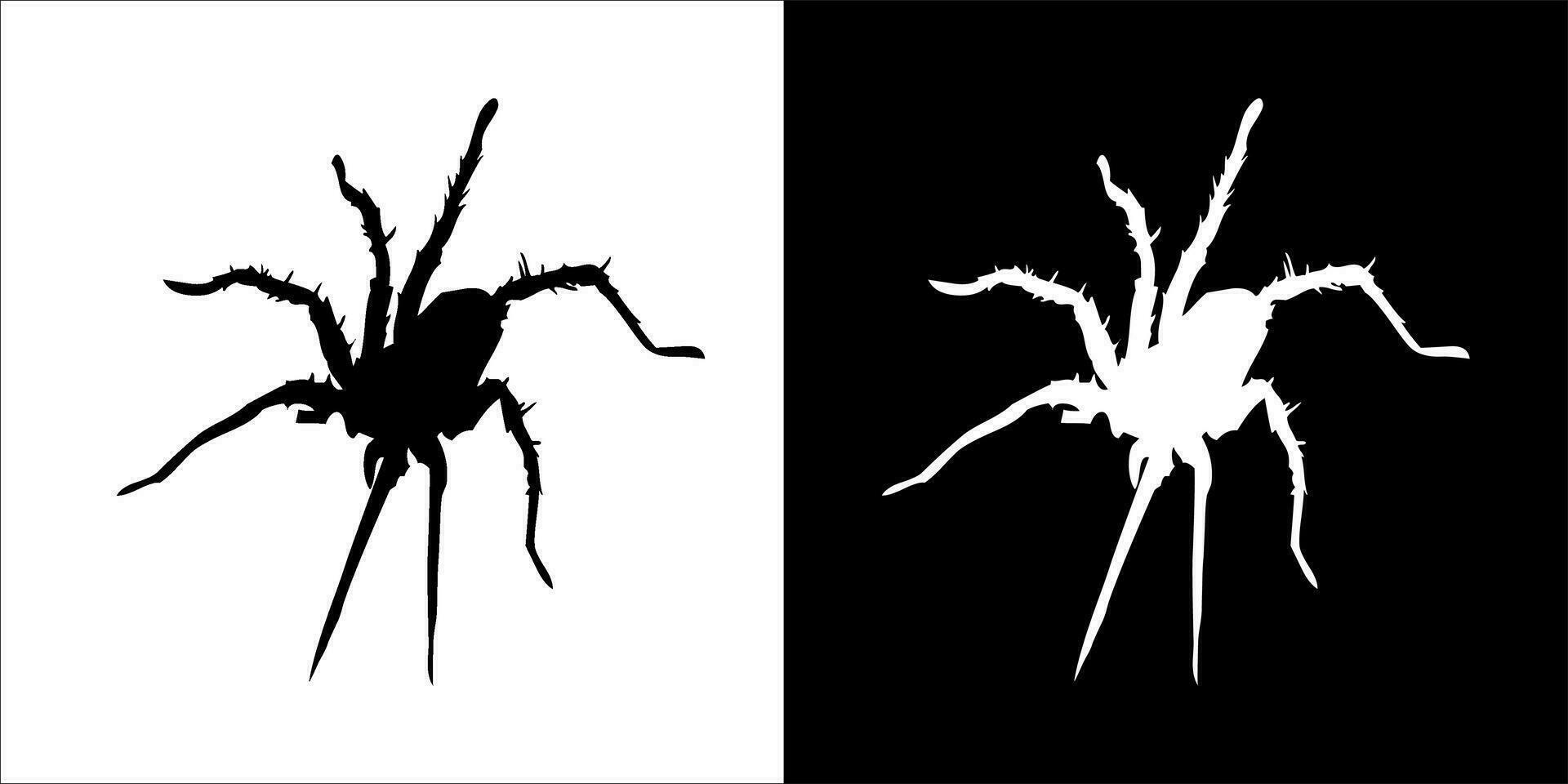 illustration, vector graphic of spider icon, in black and white, with transparent background