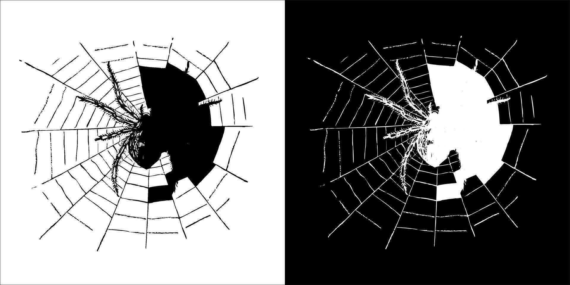 illustration, vector graphic of spider icon, in black and white, with transparent background