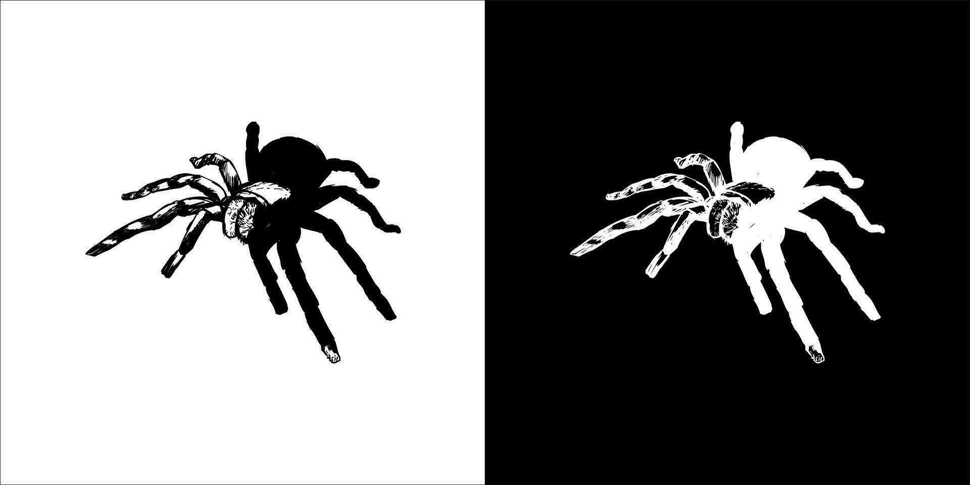 illustration, vector graphic of spider icon, in black and white, with transparent background