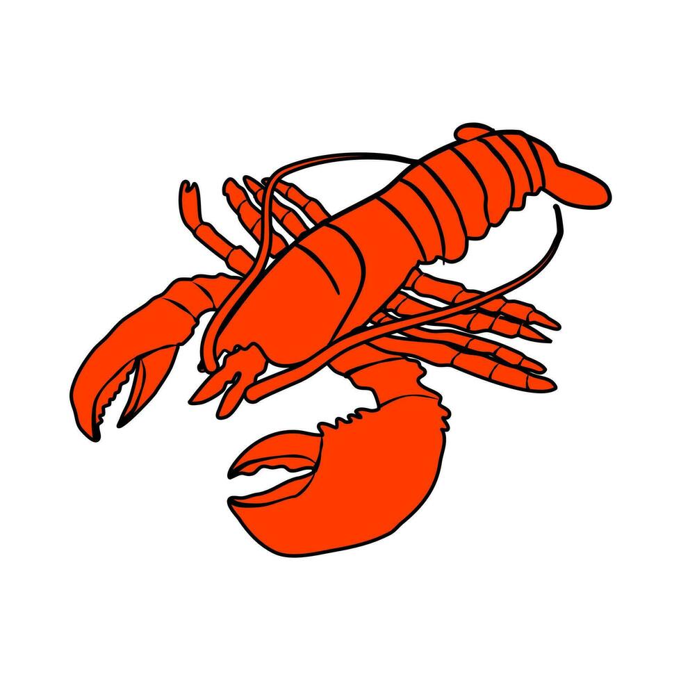 Hand drawn lobster, underwater concept. Modern flat vector illustration.