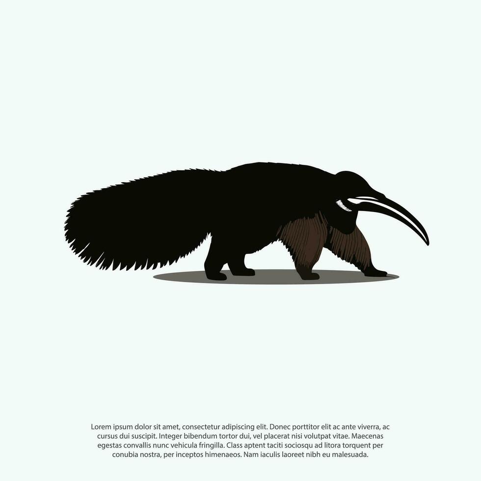 ilustración de oso hormiguero aislado en blanco fondo, negro y blanco animal negro oso hormiguero caminando vector