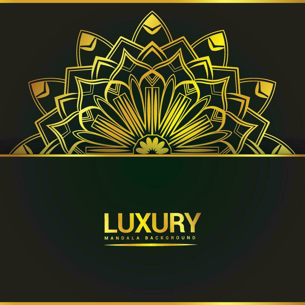 Luxury ornamental mandala background design with floral shapes vector