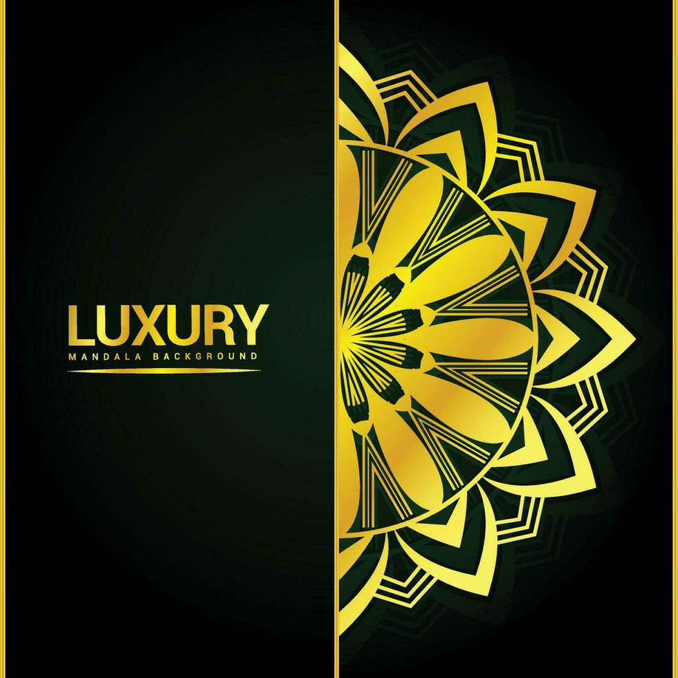 Luxury ornamental mandala background design with floral shapes vector