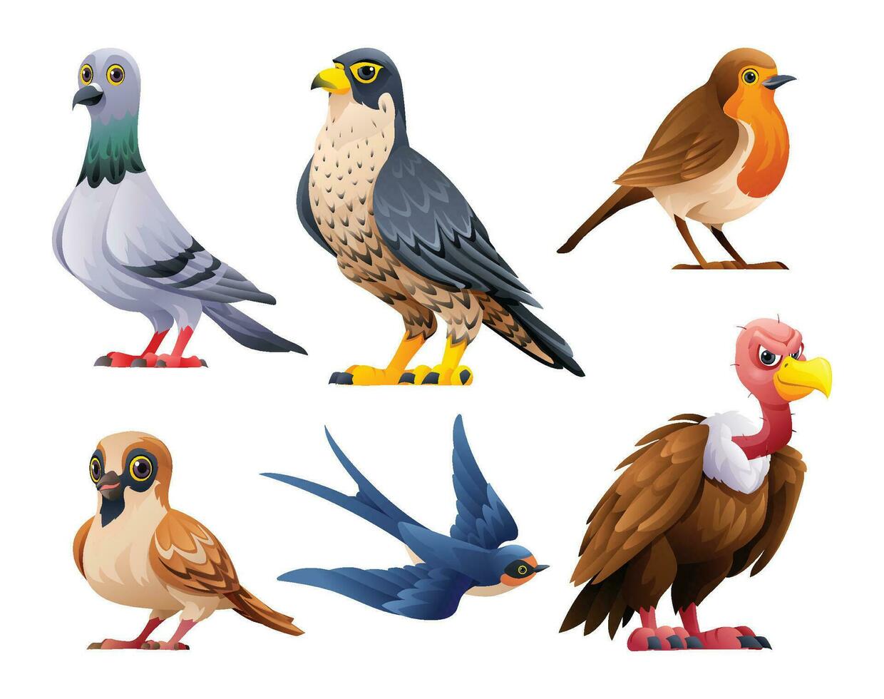 colección de aves vector dibujos animados ilustración