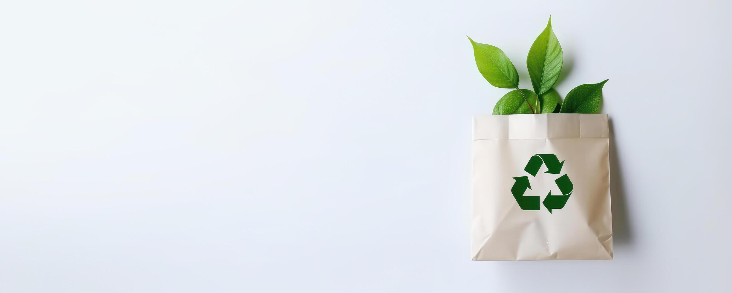Eco Recycle Bag Concept with Copy Space, No Plastic Bag, Stop Using Disposable Package. photo