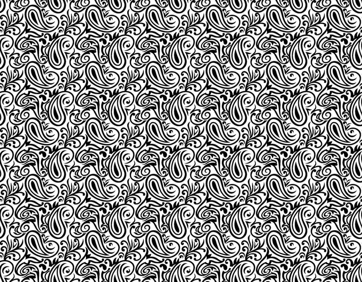 black and white paisley vector seamless pattern