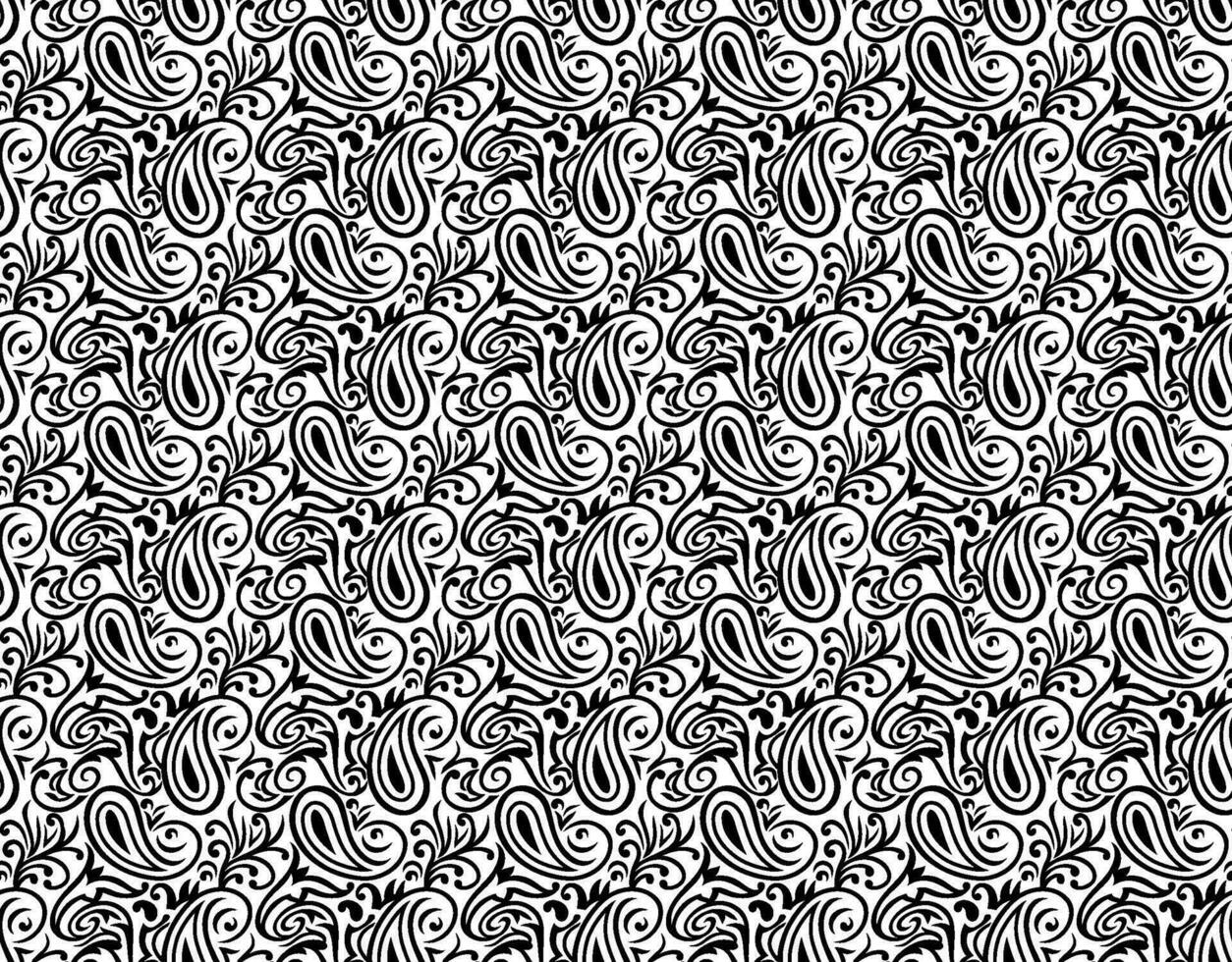 black and white paisley vector seamless pattern