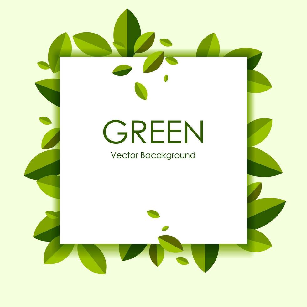 Green leaves frame on white background with copy space for text. Vector illustration.