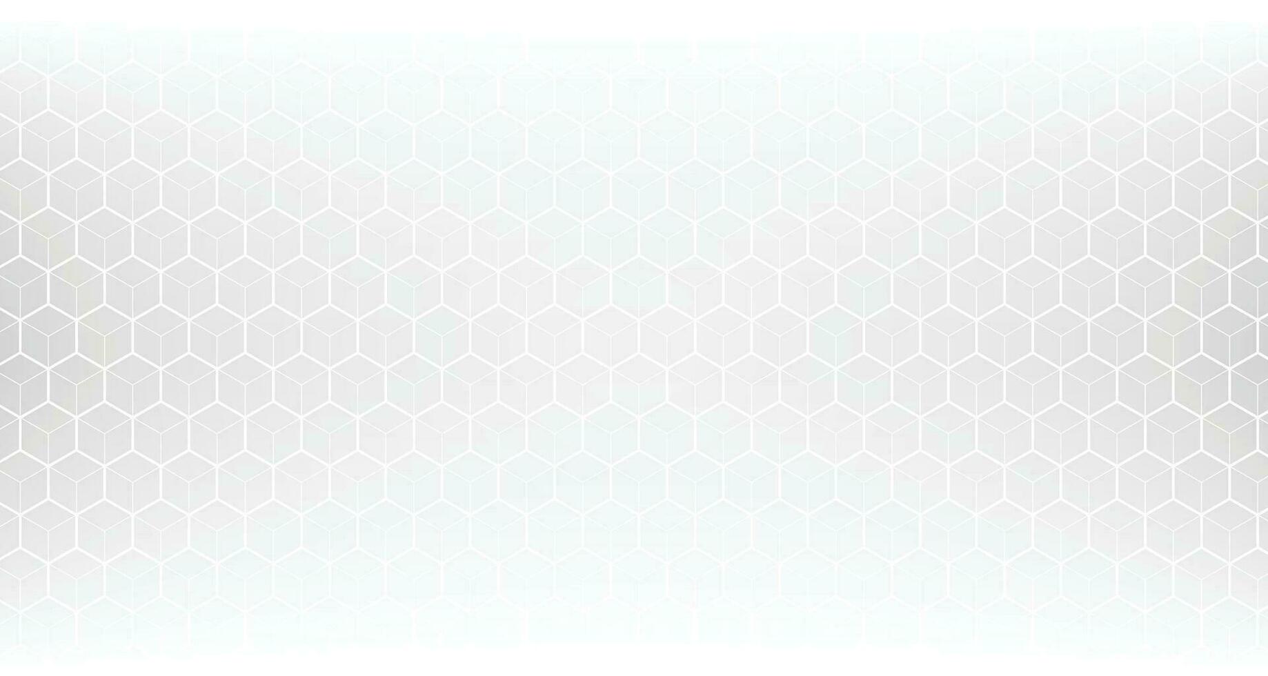 Abstract modern hexagon background. White and grey honey pattern geometric texture. Vector art illustration