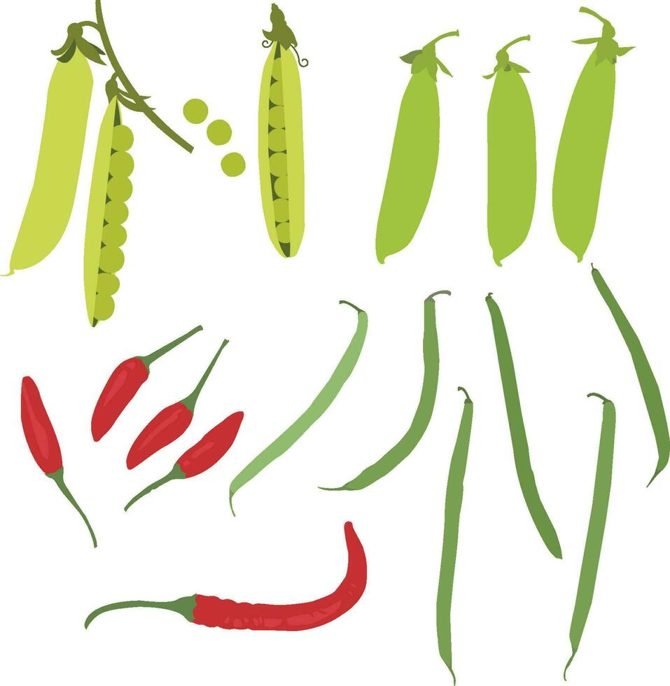 Peas Sugar Snaps beans Peppers vector