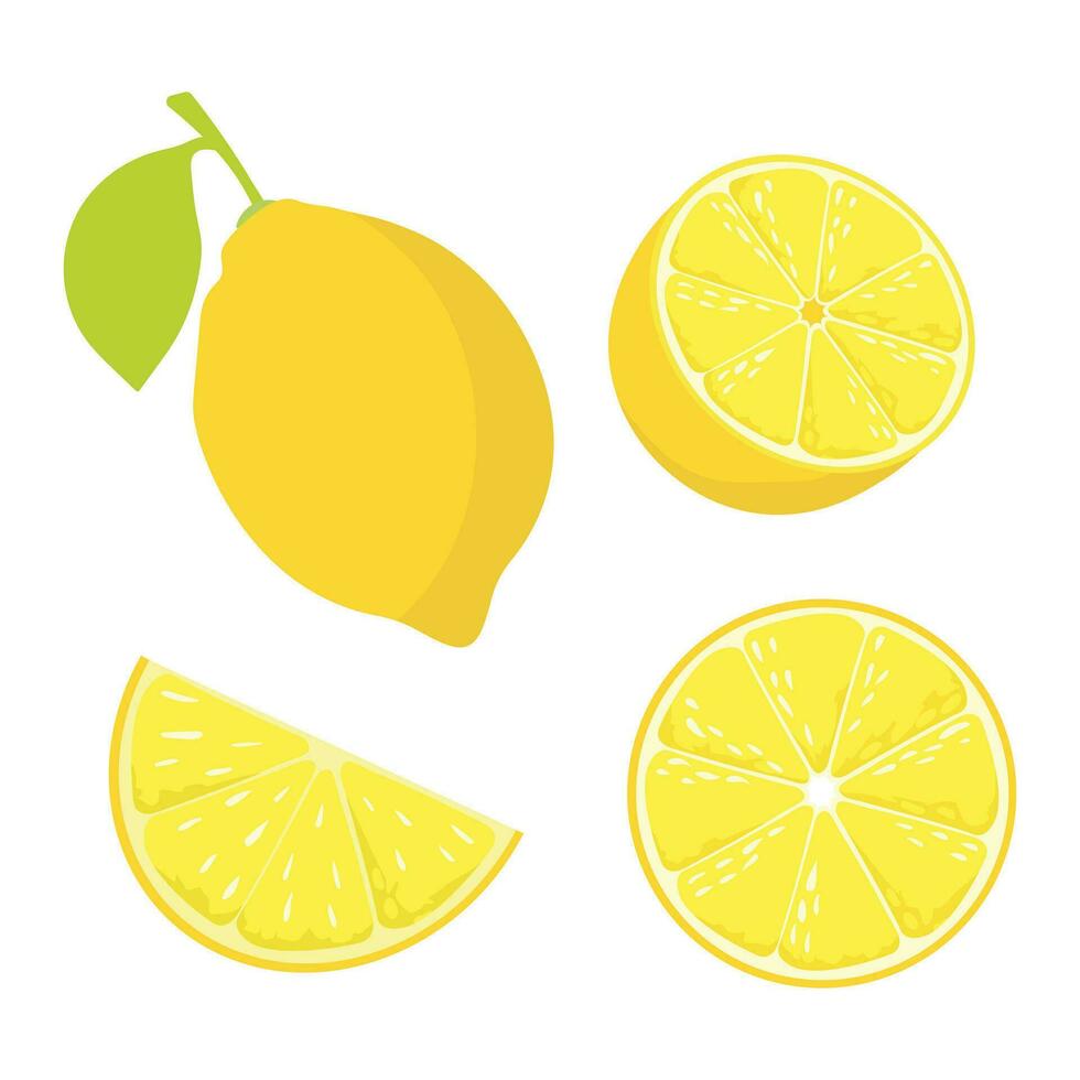 Juicy ripe lemon. Whole lemon and lemon wedges. vector