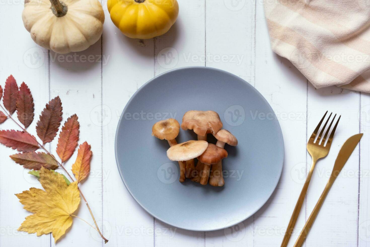 calabazas y hongos en un plato con cuchillería en de madera antecedentes plano poner, parte superior ver foto