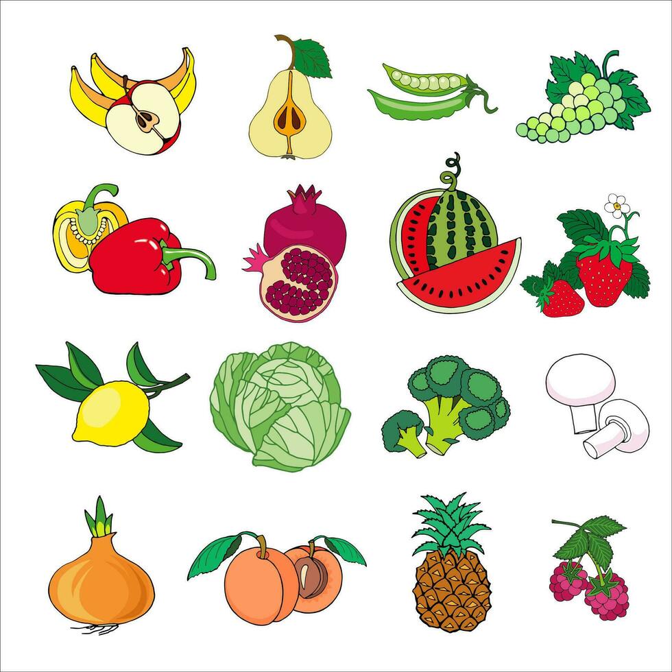 set of fruits and vegetables vector