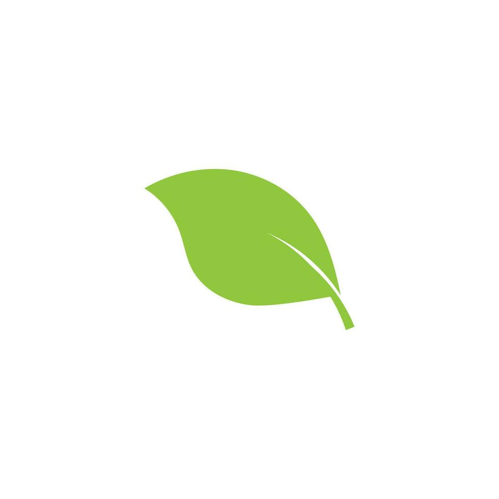 logotipos de vector de elemento de naturaleza de ecología de hoja de árbol verde