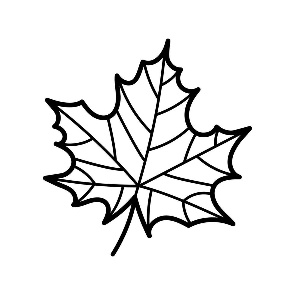 Maple Leaf. Hand drawn sketch botanical element. Isolated vector illustration in doodle line style.