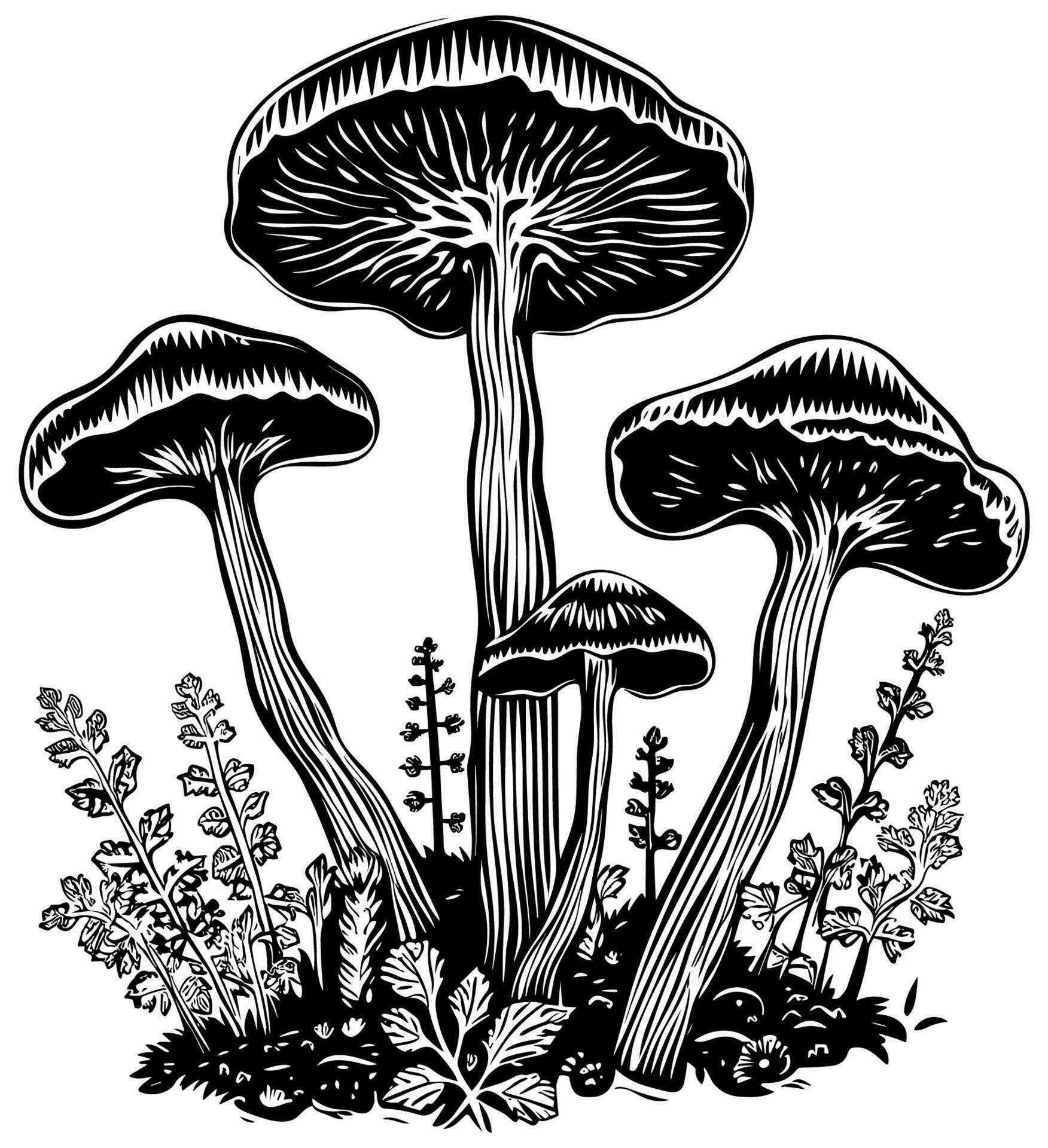 Mushrooms Black and White 25876298 Vector Art at Vecteezy